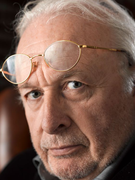 Mart Smeets