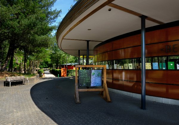 Bomen Die Dichten te zien op De Hoge Veluwe