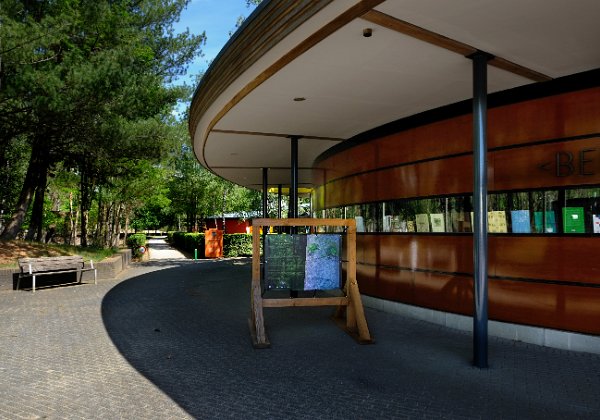 Bomen Die Dichten te zien op De Hoge Veluwe